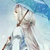 凌雪
