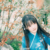 林雨蝶