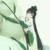作者，meng