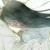 蝶衣