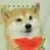 吃瓜群众