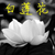 路情