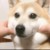 讀者