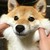 校长