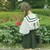 小倏（作者）