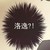 万能龙套
