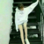 林瑜