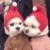 客串老师