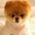布?。ü罚?/>
                                <p>布?。ü罚?/p>
                            </a>
                        <a href=