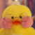 标题君