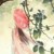 筱雨（作者）