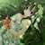 池莲
