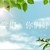 同學(xué)們