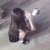 女生丁