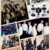 exo