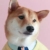 路人甲