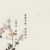君晴作者