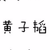 黄子韬