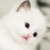 喵@若