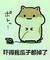 沈晶冰