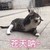 许多路人