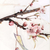 梨树