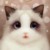 校长