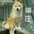 關(guān)小彤
