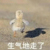 养母