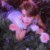 Justin