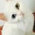 糖糖