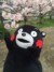手机君