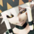 帕洛斯
