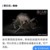蜘蛛
