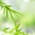 花痴2
