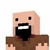 notch