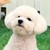 vivi