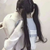 安茉茉