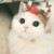 猫猫