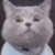 林母