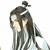 轩辕逸辰