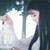千羽韓
