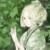 墨漓卍（作者）