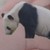 我是萌萌达熊猫