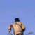 藍楓
