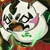 大飞