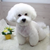 vivi