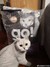 神密猫