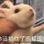 串客