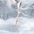 幽雪